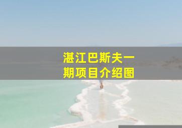 湛江巴斯夫一期项目介绍图