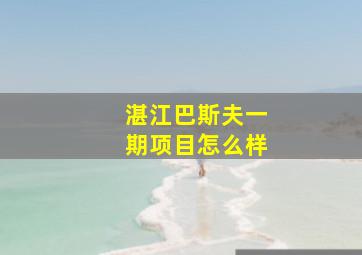 湛江巴斯夫一期项目怎么样