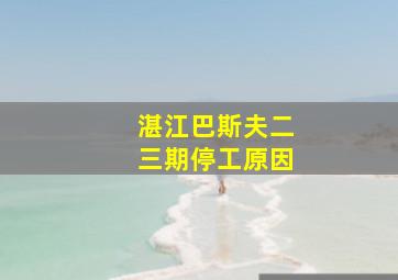 湛江巴斯夫二三期停工原因