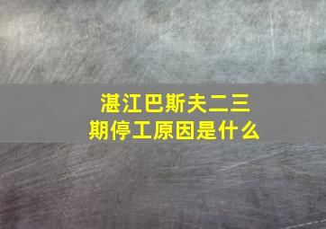 湛江巴斯夫二三期停工原因是什么