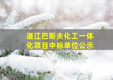 湛江巴斯夫化工一体化项目中标单位公示