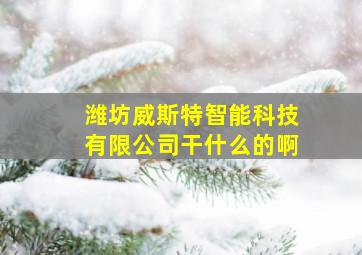 潍坊威斯特智能科技有限公司干什么的啊