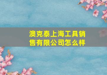 澳克泰上海工具销售有限公司怎么样