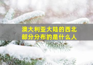 澳大利亚大陆的西北部分分布的是什么人