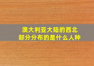 澳大利亚大陆的西北部分分布的是什么人种