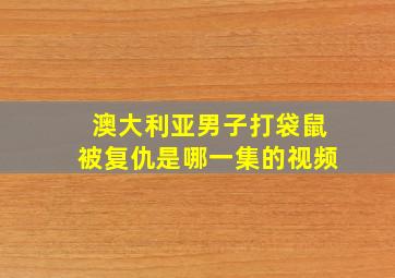 澳大利亚男子打袋鼠被复仇是哪一集的视频