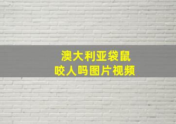 澳大利亚袋鼠咬人吗图片视频