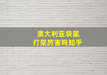 澳大利亚袋鼠打架厉害吗知乎