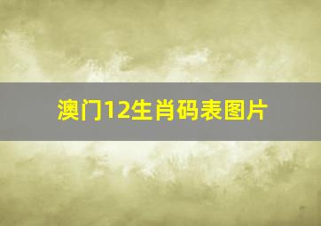 澳门12生肖码表图片