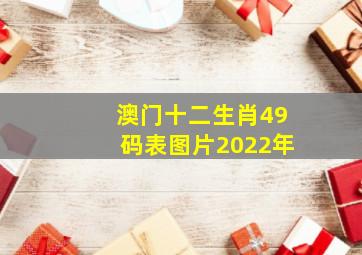 澳门十二生肖49码表图片2022年