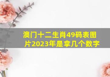 澳门十二生肖49码表图片2023年是拿几个数字