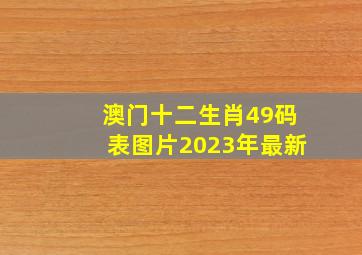 澳门十二生肖49码表图片2023年最新