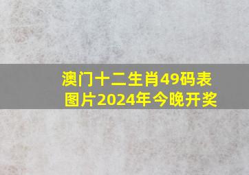 澳门十二生肖49码表图片2024年今晚开奖