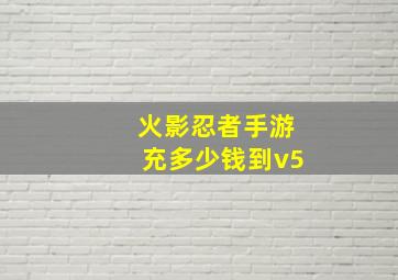 火影忍者手游充多少钱到v5