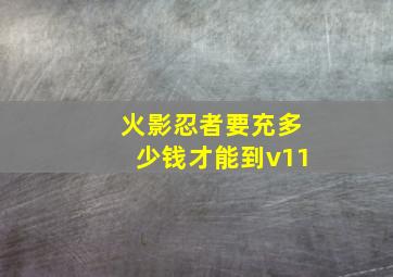 火影忍者要充多少钱才能到v11