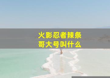 火影忍者辣条哥大号叫什么