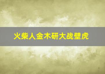 火柴人金木研大战壁虎