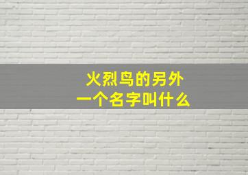 火烈鸟的另外一个名字叫什么