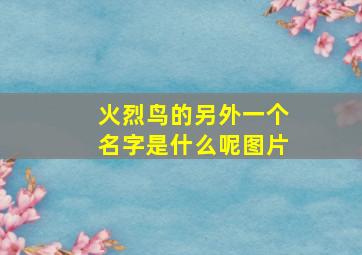 火烈鸟的另外一个名字是什么呢图片