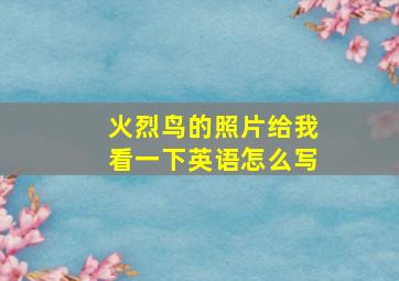 火烈鸟的照片给我看一下英语怎么写