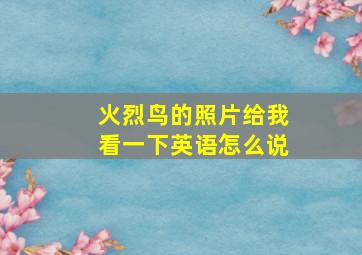 火烈鸟的照片给我看一下英语怎么说