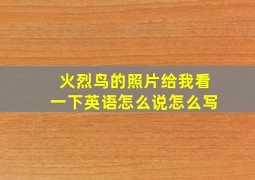 火烈鸟的照片给我看一下英语怎么说怎么写