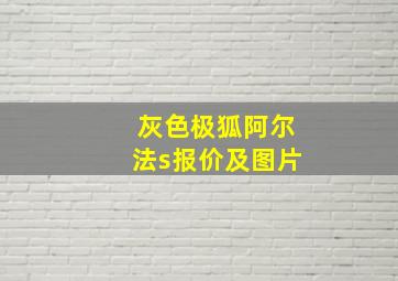 灰色极狐阿尔法s报价及图片