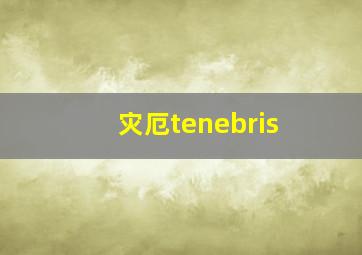 灾厄tenebris