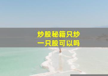 炒股秘籍只炒一只股可以吗