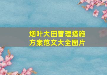 烟叶大田管理措施方案范文大全图片