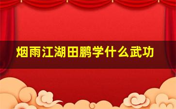 烟雨江湖田鹏学什么武功