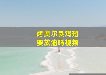 烤奥尔良鸡翅要放油吗视频