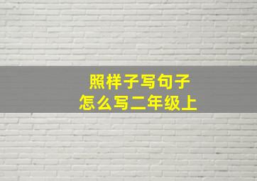 照样子写句子怎么写二年级上