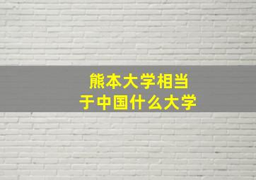 熊本大学相当于中国什么大学