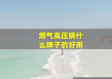 燃气高压锅什么牌子的好用