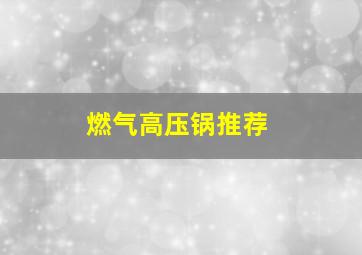 燃气高压锅推荐