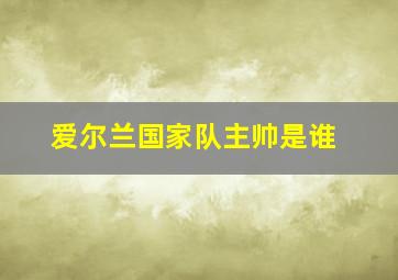 爱尔兰国家队主帅是谁