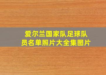 爱尔兰国家队足球队员名单照片大全集图片