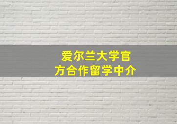 爱尔兰大学官方合作留学中介