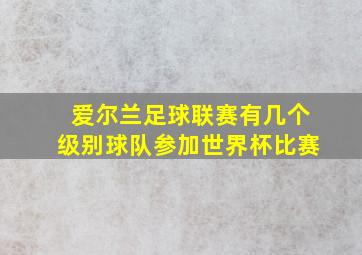 爱尔兰足球联赛有几个级别球队参加世界杯比赛