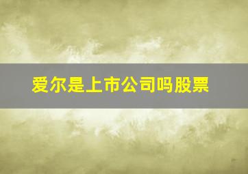 爱尔是上市公司吗股票