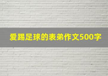 爱踢足球的表弟作文500字