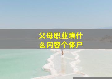 父母职业填什么内容个体户