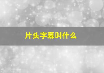 片头字幕叫什么