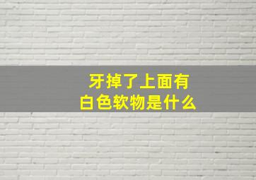 牙掉了上面有白色软物是什么