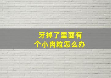 牙掉了里面有个小肉粒怎么办