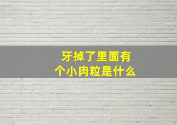 牙掉了里面有个小肉粒是什么