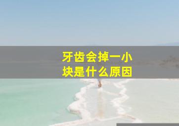 牙齿会掉一小块是什么原因