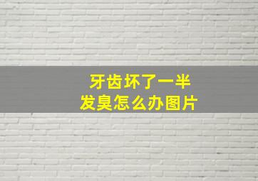 牙齿坏了一半发臭怎么办图片