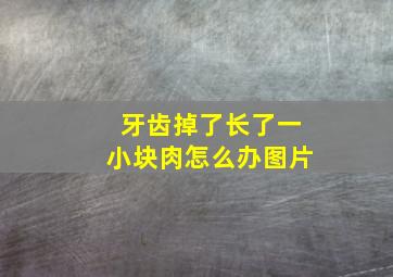 牙齿掉了长了一小块肉怎么办图片